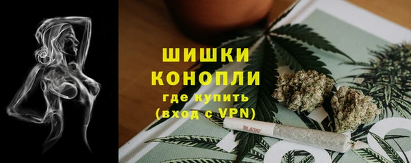 прущий лед Арсеньев